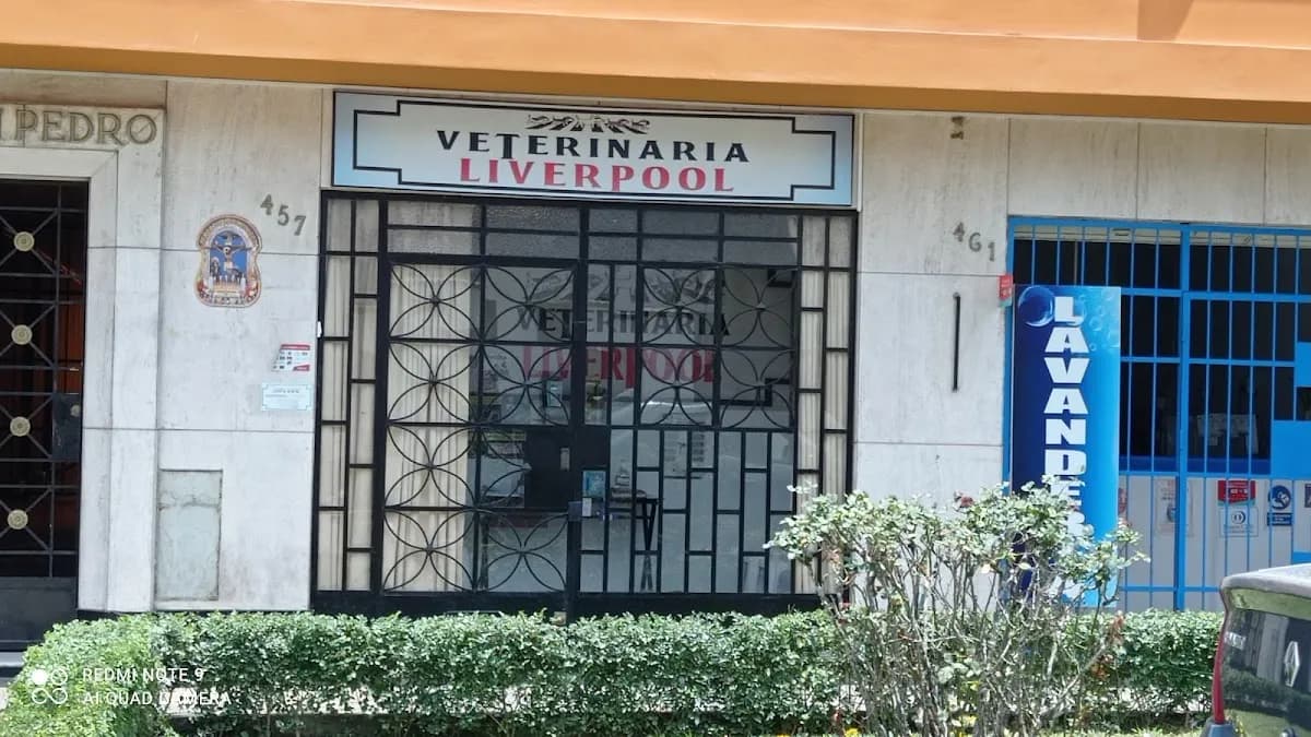 Veterinaria Liverpool