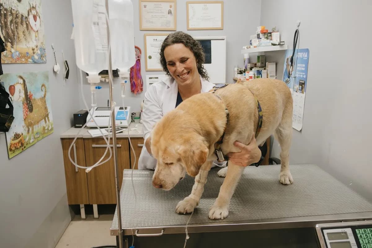 Veterinaria Del Valle