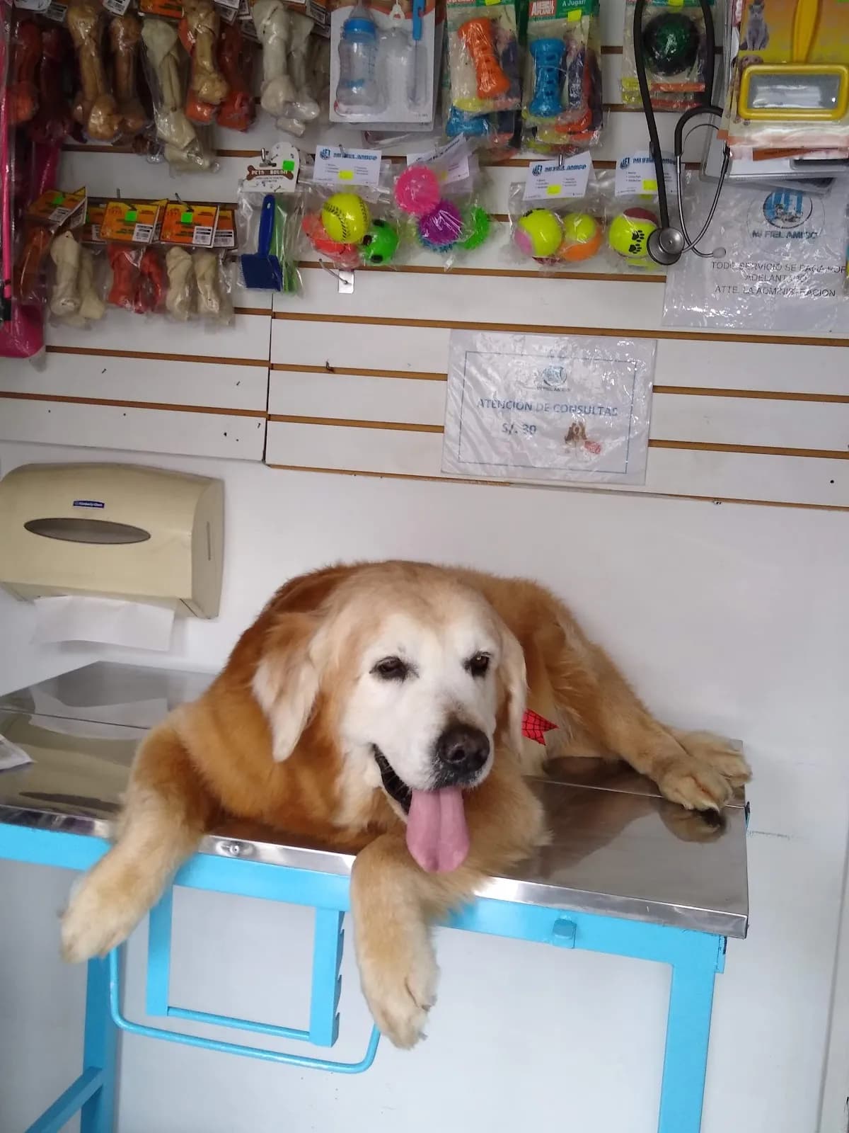 Mi Fiel Amigo