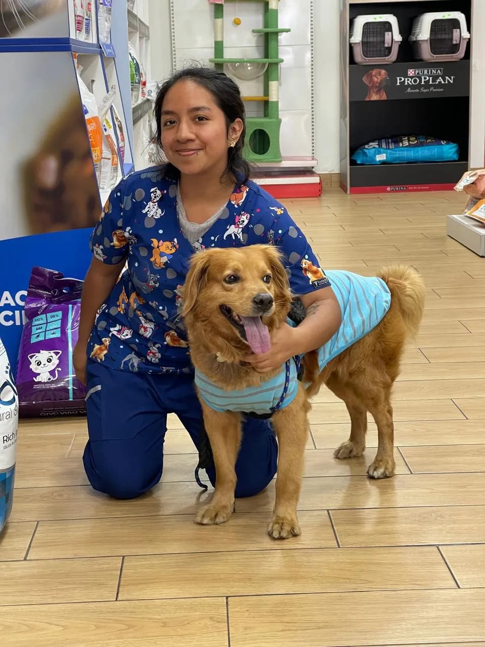 El Hurón Azul Clínica Veterinaria Colonial EMERGENCIAS 24 HORAS