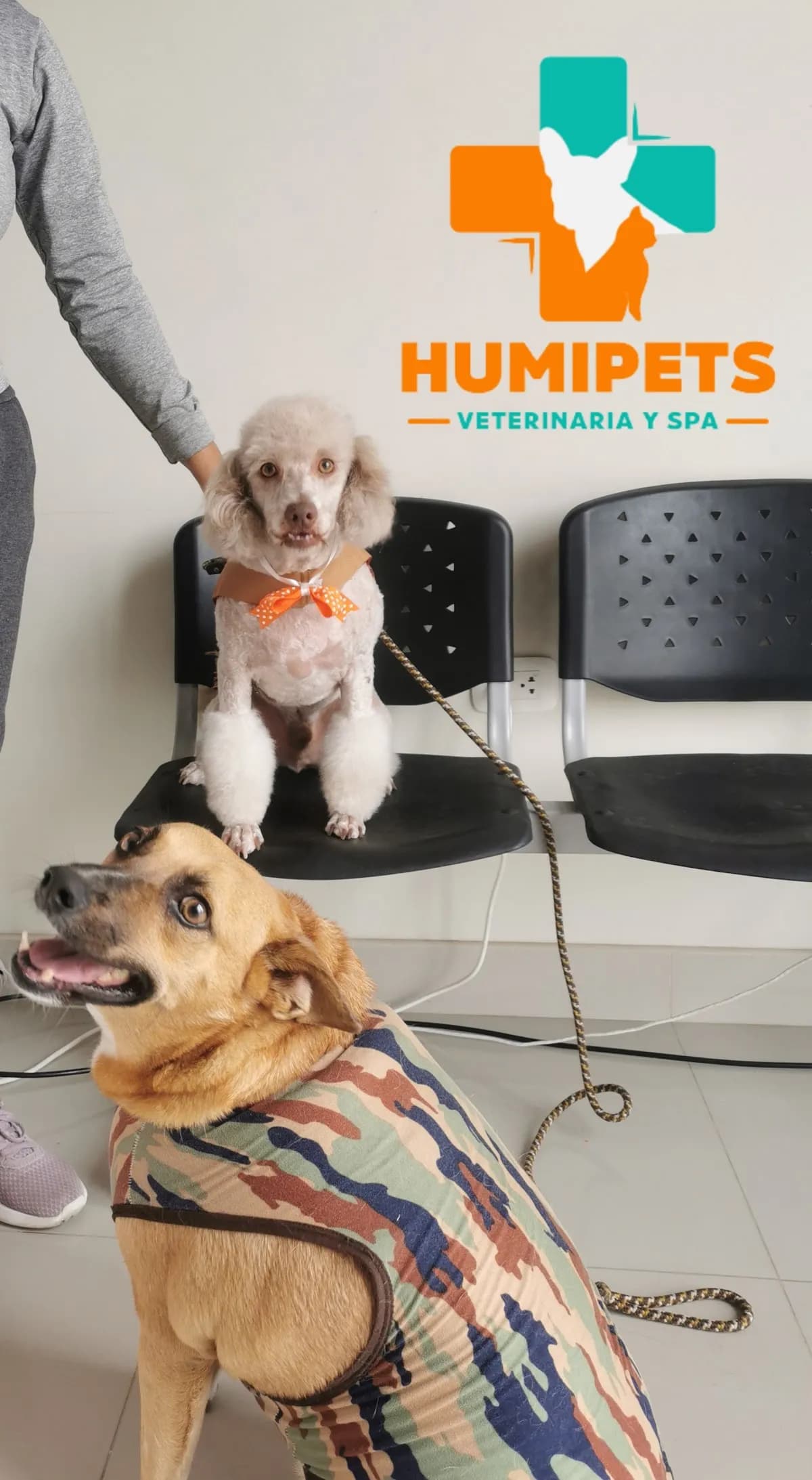 Humipets Veterinaria y Spa