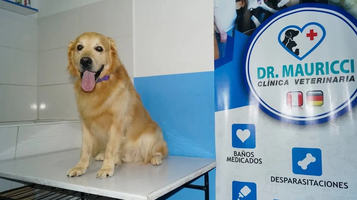 Clínica Veterinaria Mauricci Cabanillas