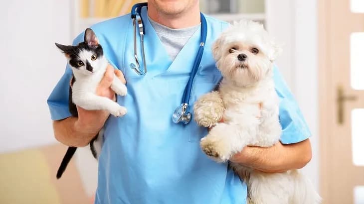 Veterinaria Social Oh My Pet