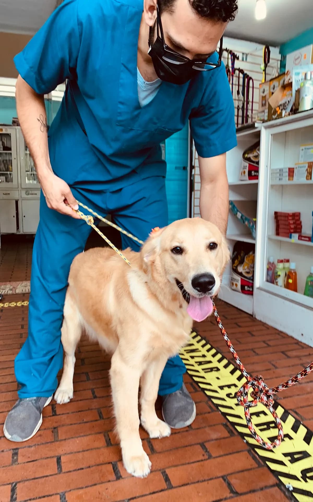 Veterinaria Casa Patitas