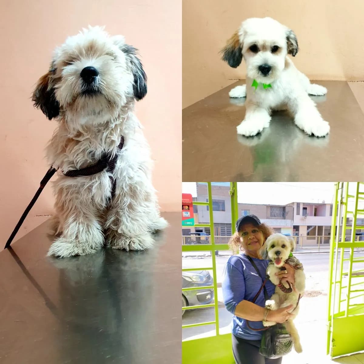 Veterinaria Pet's Land Chiclayo