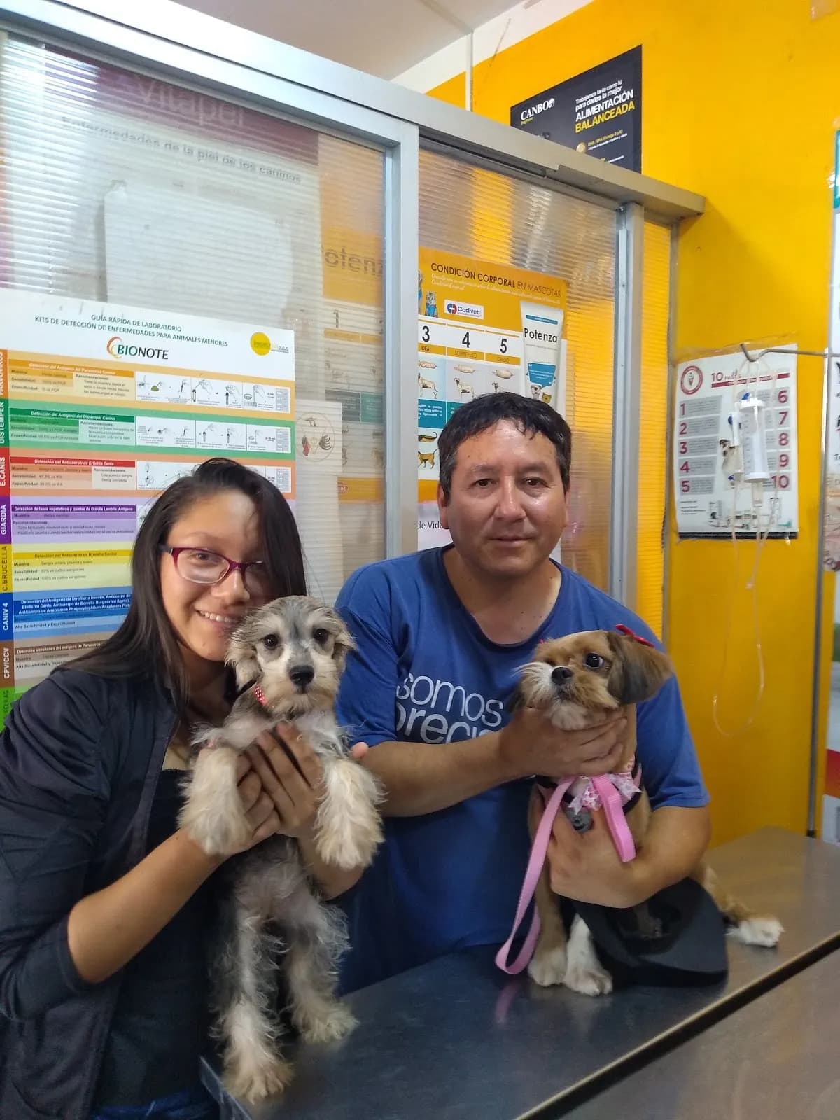 Frer Pert' s Centro Médico Veterinario