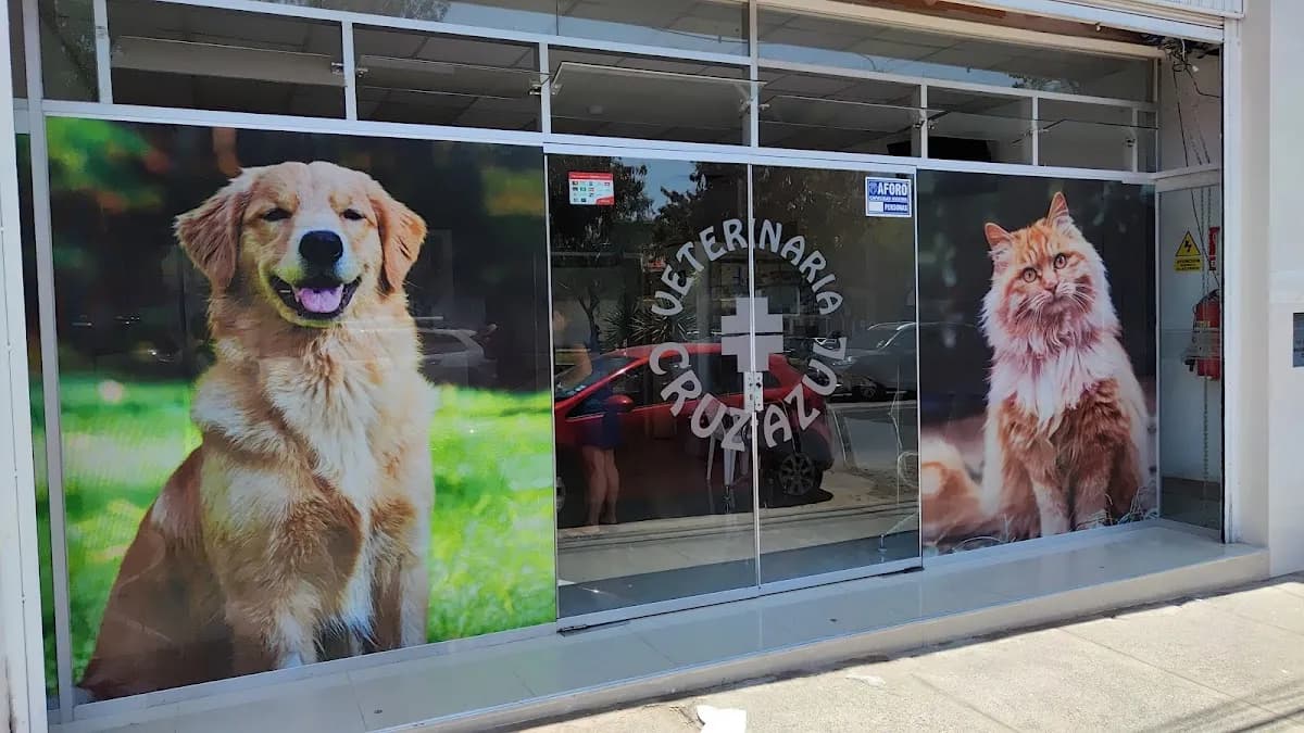 Clínica Veterinaria Cruz Azul