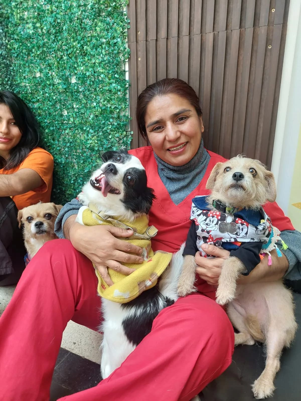 CASONAVETS - centro veterinario
