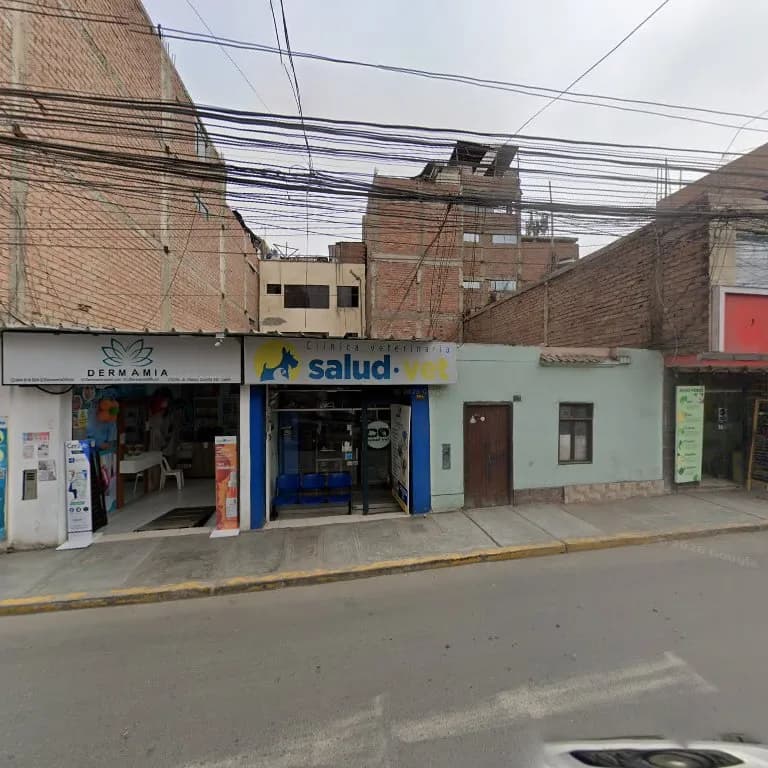 Clinica Veterinaria SaludVet Lurin