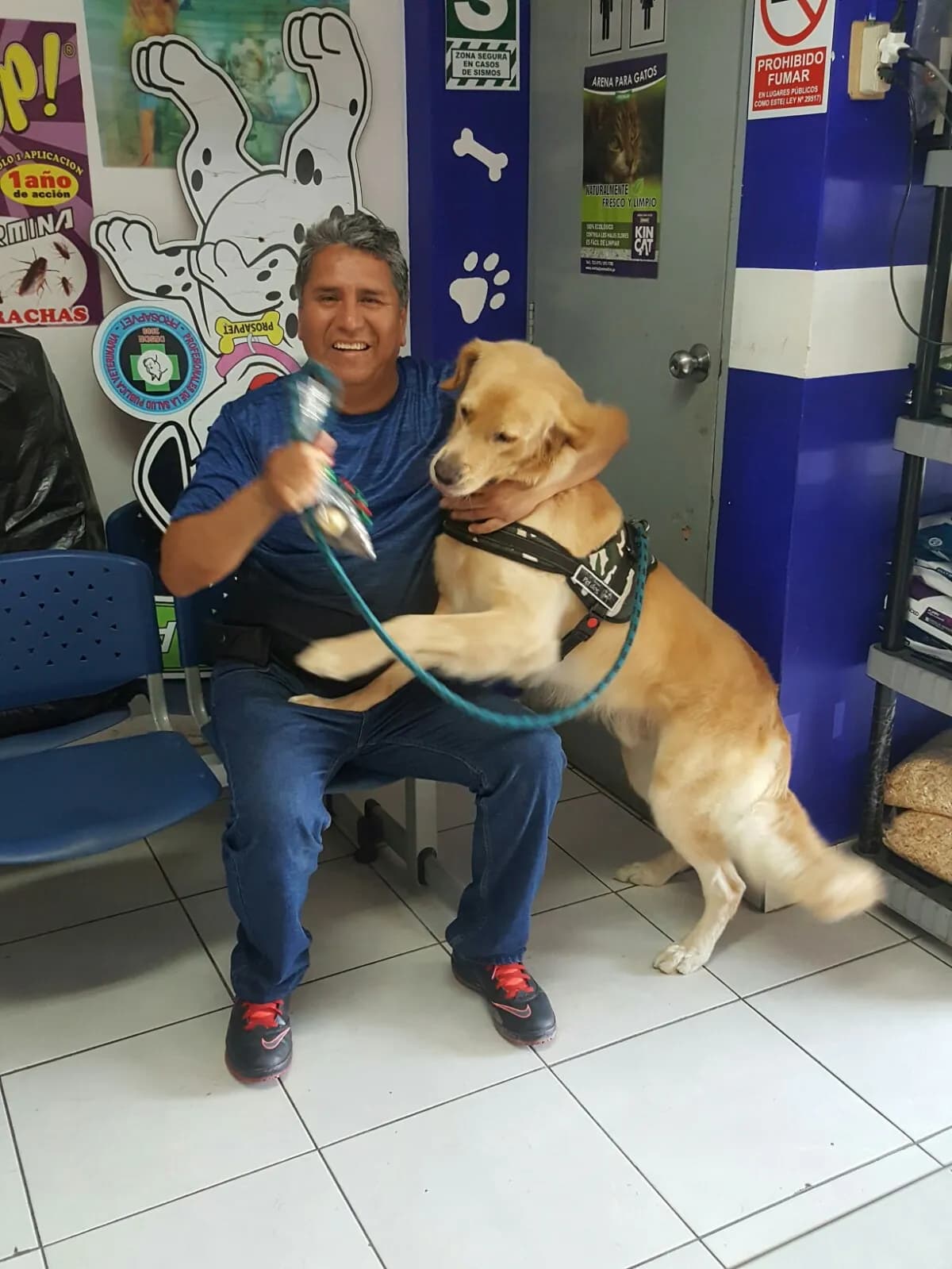 Veterinaria PROSAPVET