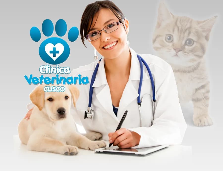 CLINICA VETERINARIA EN CUSCO