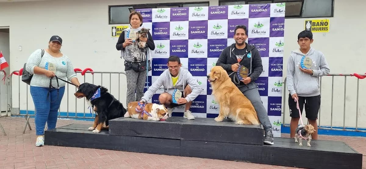 Pet Lover Centro Veterinario Carval