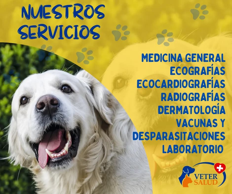 Clínica Veterinaria Veter Salud