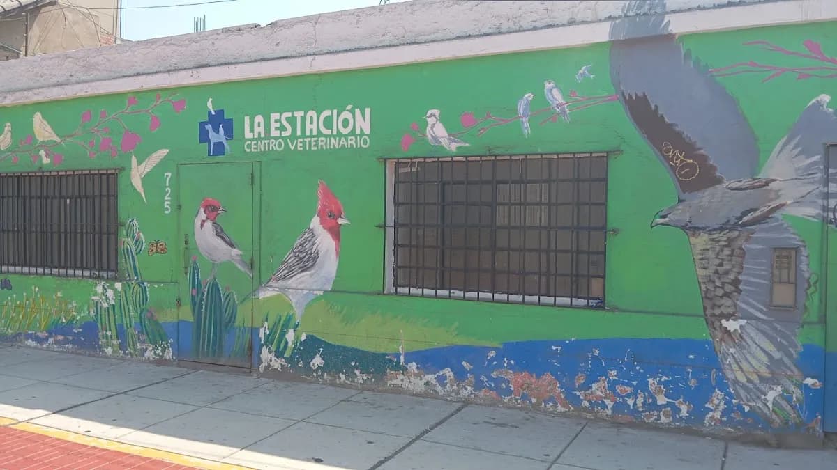 La Estación Centro veterinario