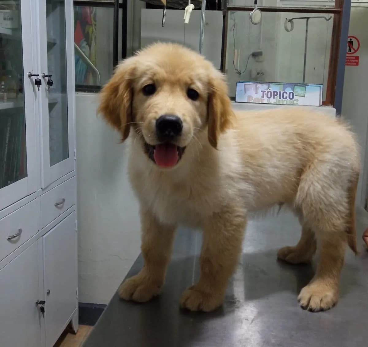 Veterinaria Pet Clinic Piura