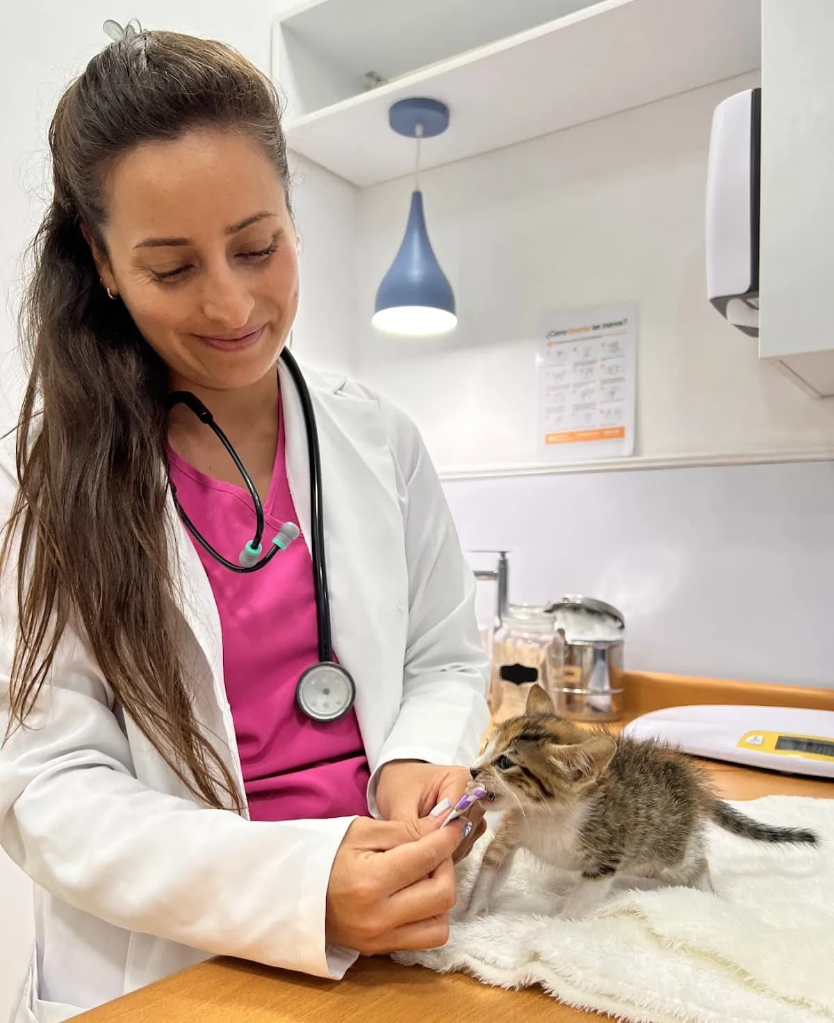 Gattos Centro Medico Felino San Borja