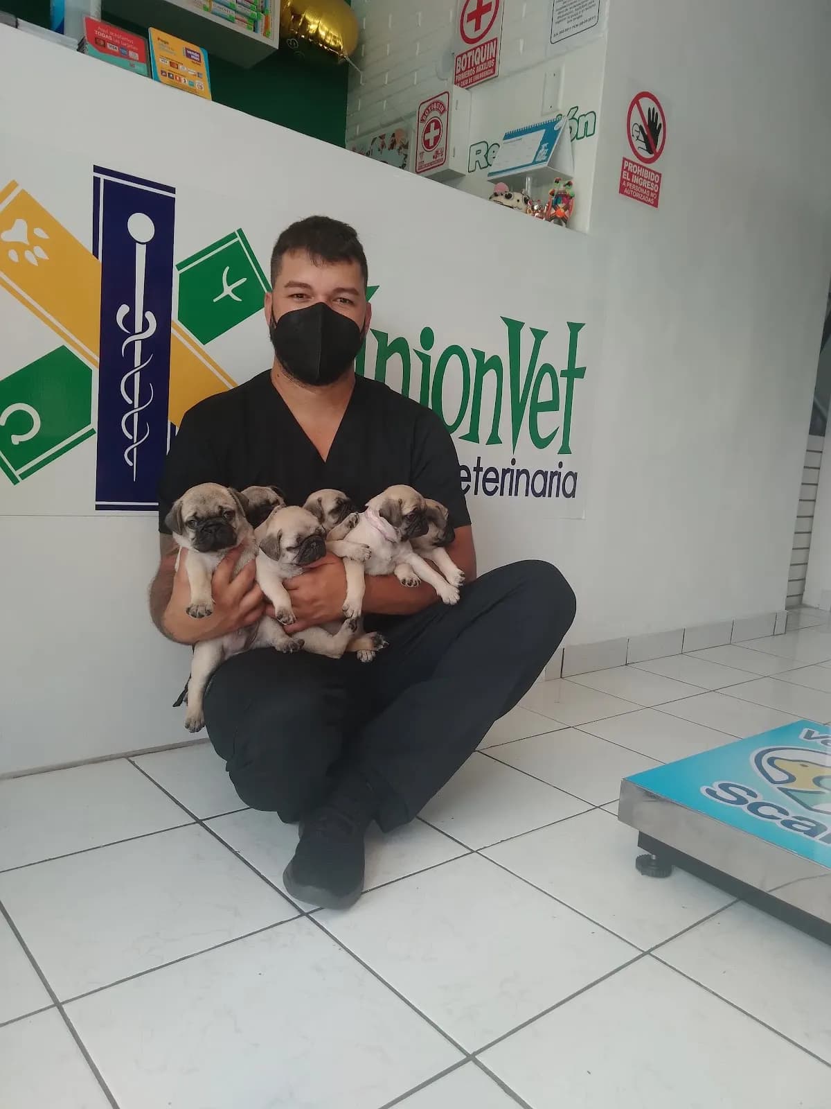 Clínica Veterinaria UnionVet
