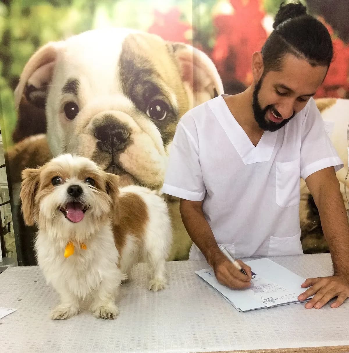 Veterinaria 24h servicio a domicilio- entrepatas