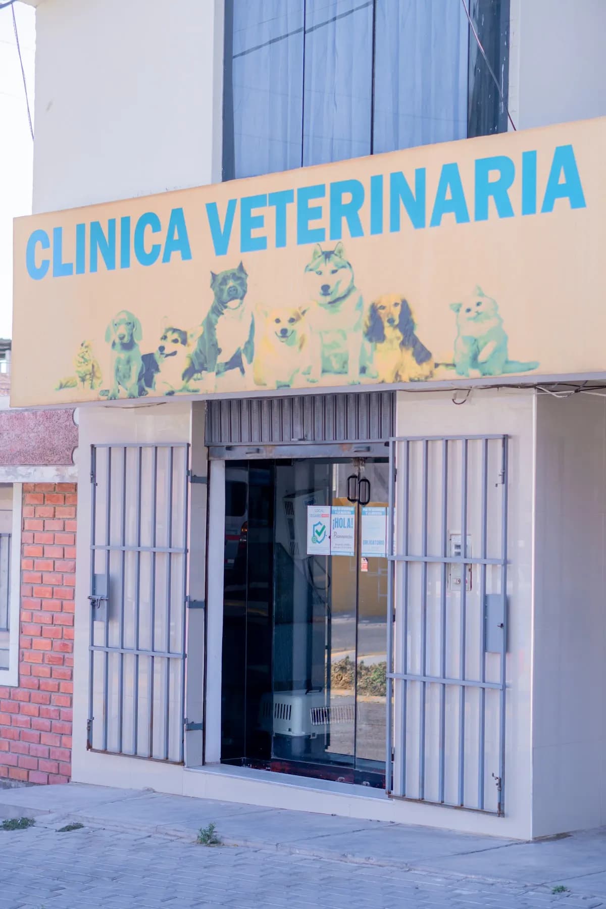 VETERINARIA MISTER PETS