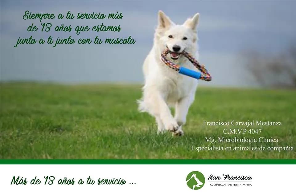 Clinica Veterinaria San Francisco
