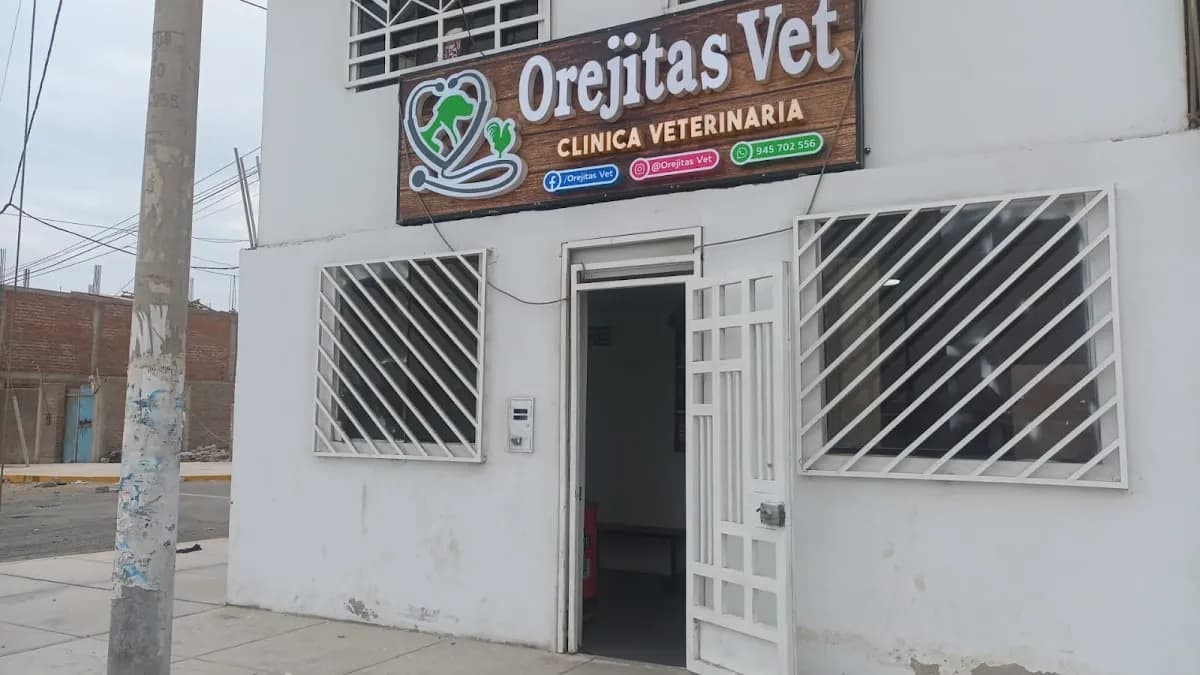 Clínica Veterinaria Orejitas Vet - Sucursal San Luis