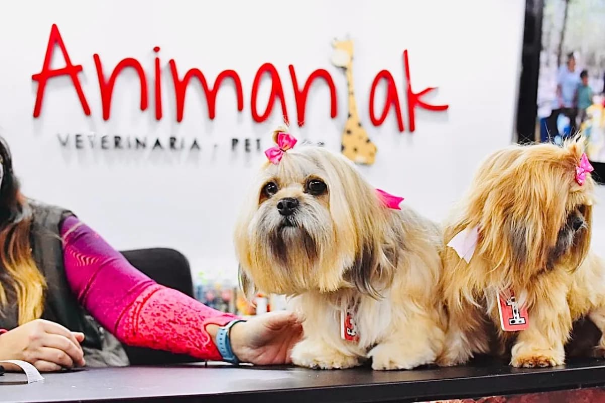 Animaniak Clínica Veterinaria