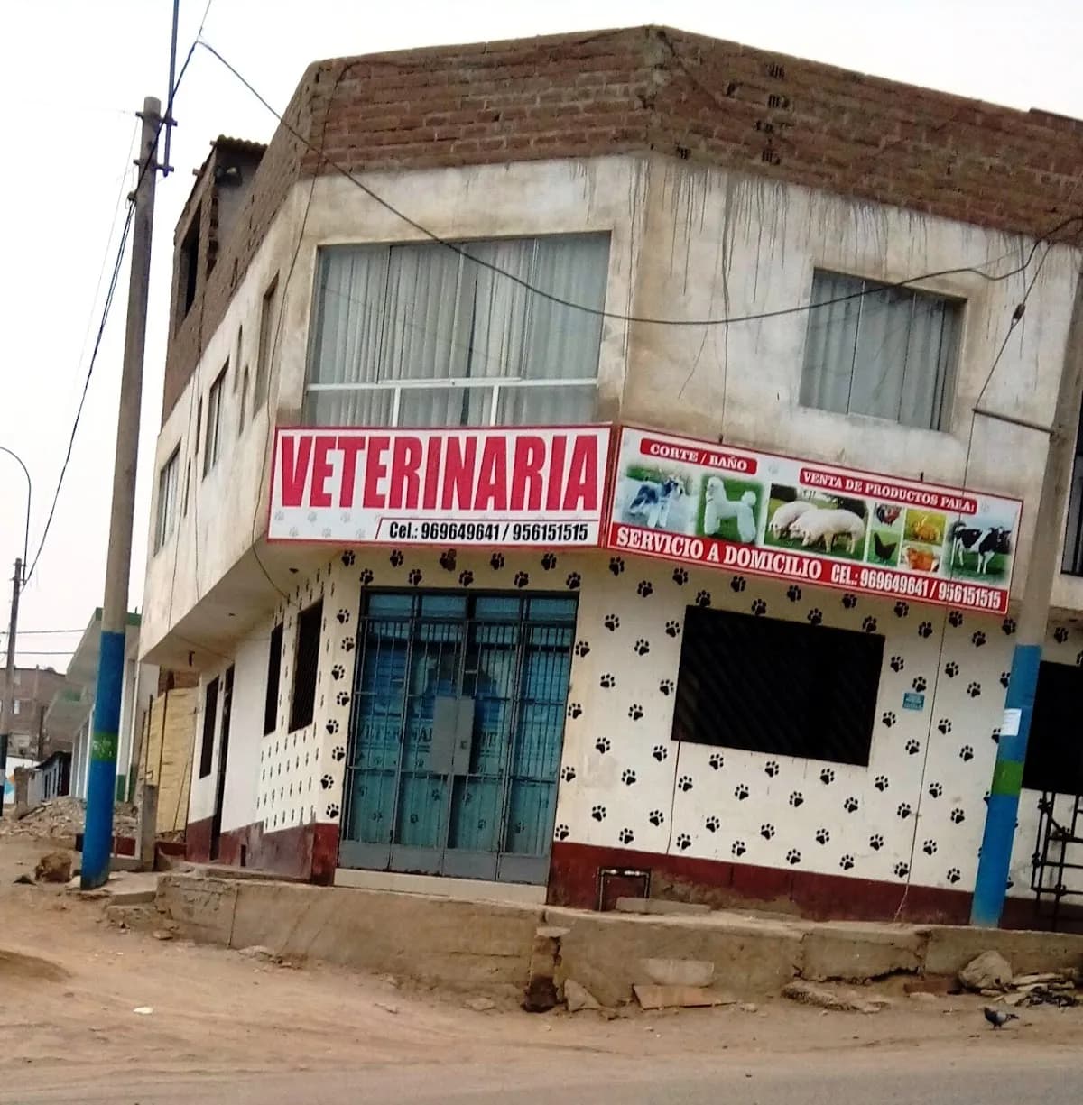 Veterinaria Vet + Salud Medicina Animal