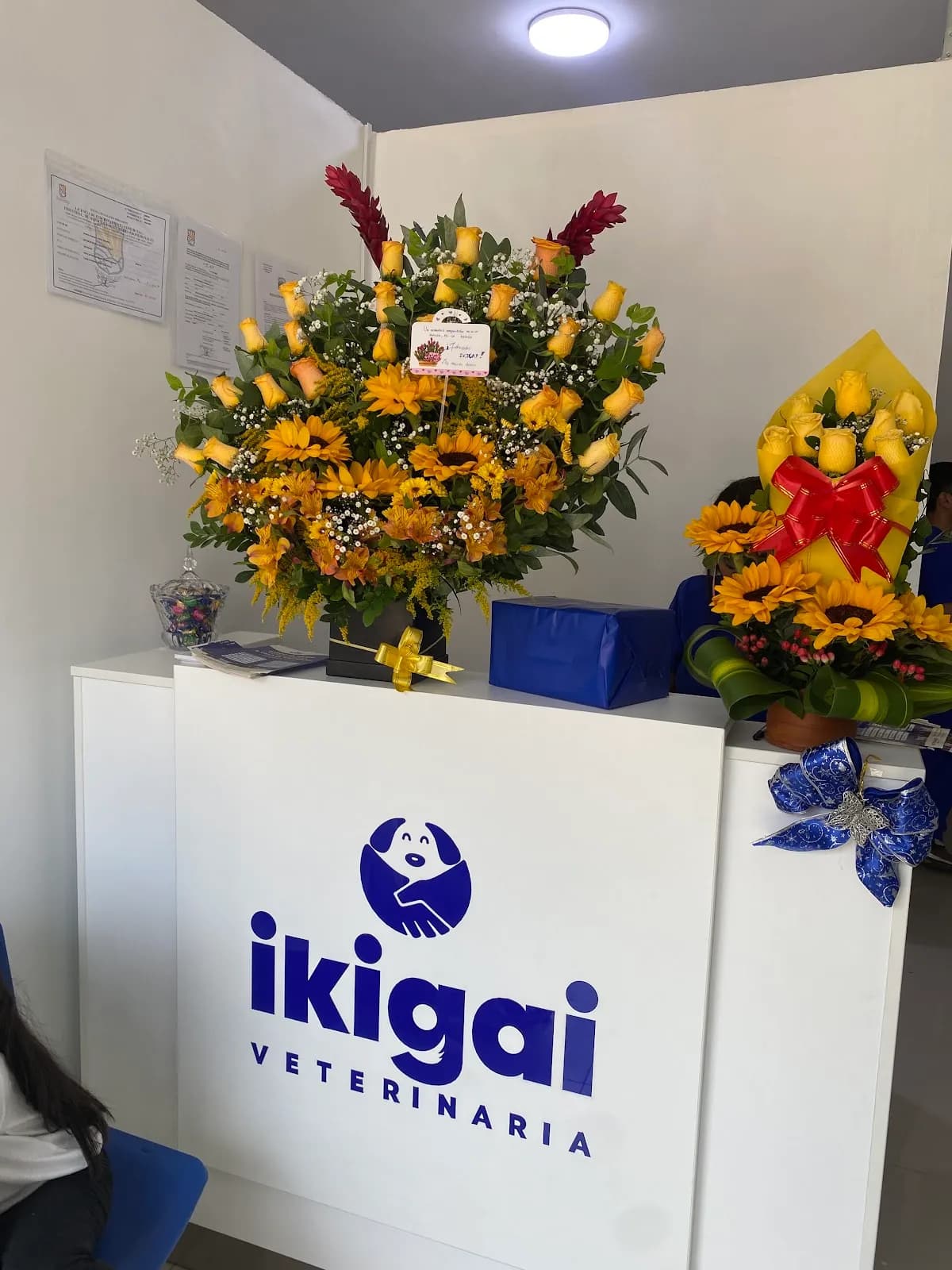 Veterinaria IKIGAI