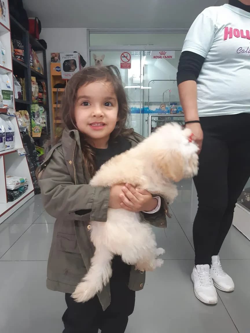 Mascotas El Polo Clínica Veterinaria