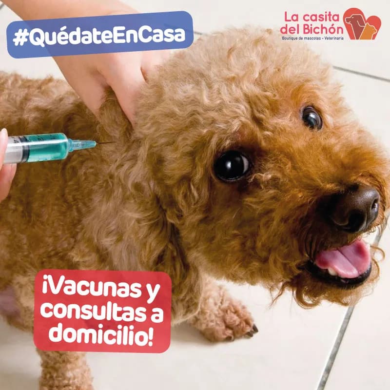La Casita del Bichón