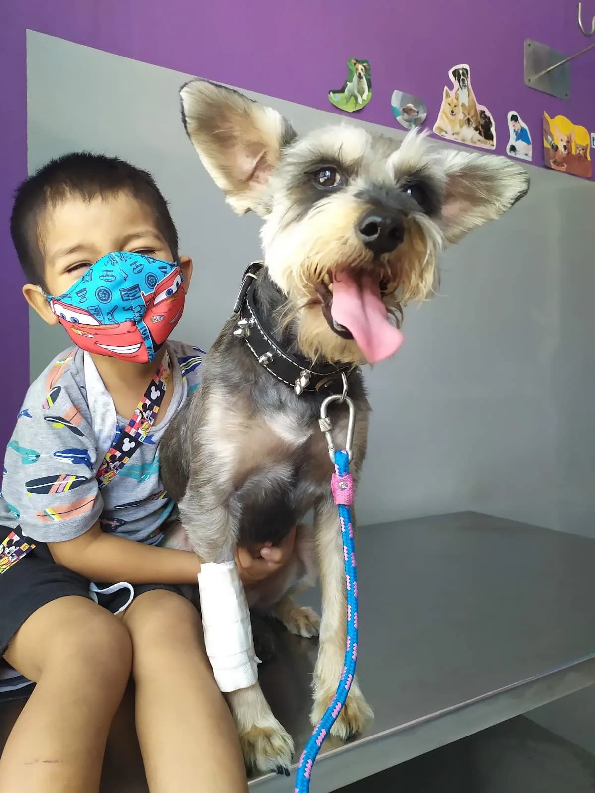 VETERINARIA PEKES PETS VENTANILLA