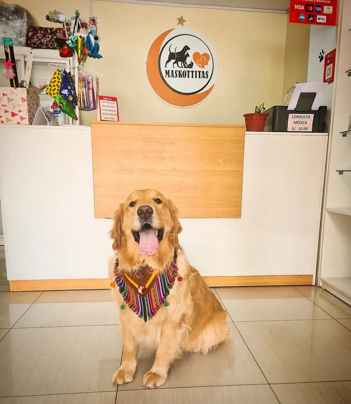 CLINICA VETERINARIA MASKOTTITAS