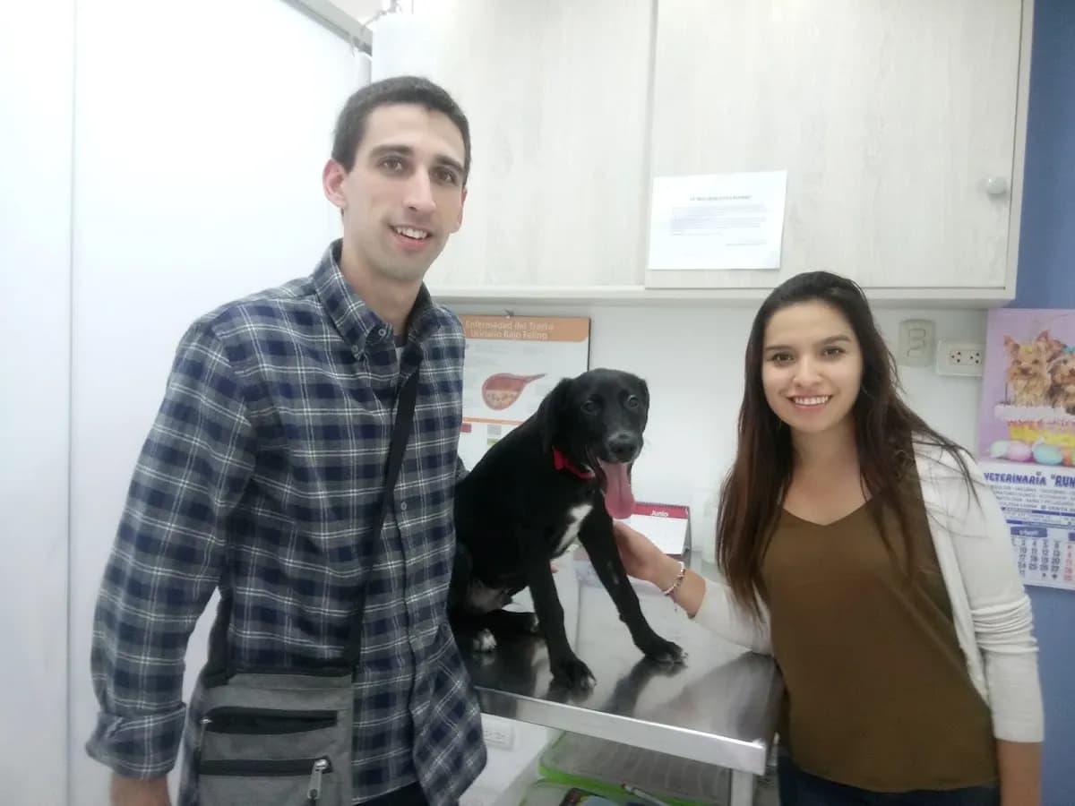 Veterinaria Runa Luna Surco