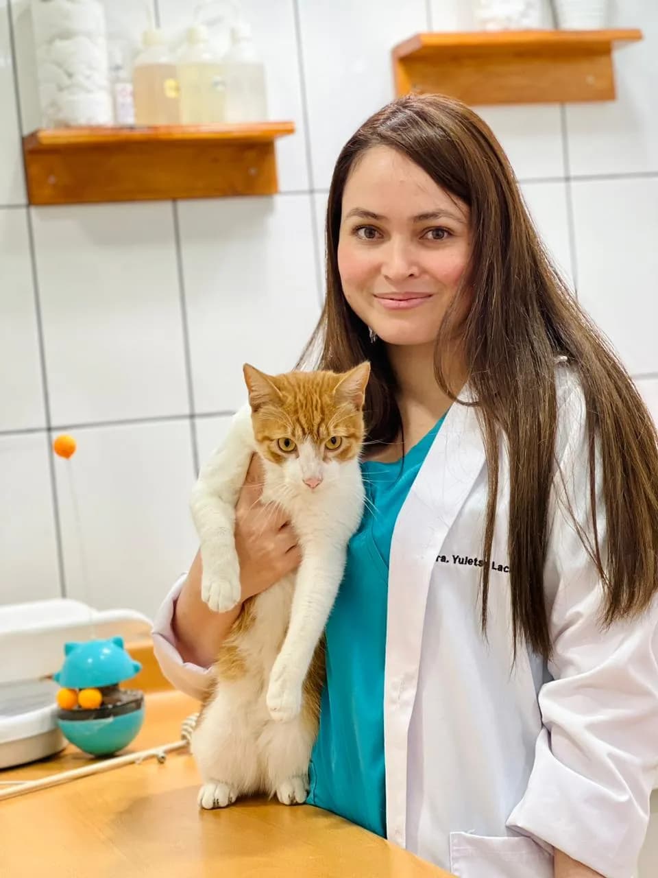 Gattos Clinica Especializada en Medicina Felina - La Molina - Surco