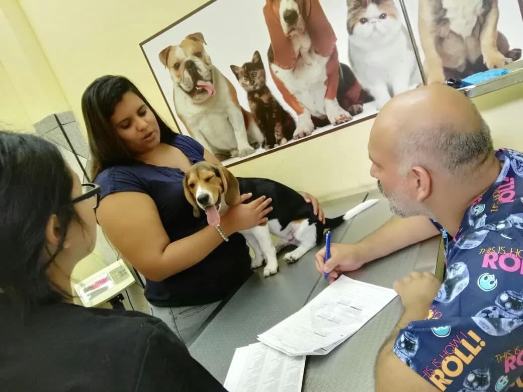 VETERINARIA PATAS Y COLITAS