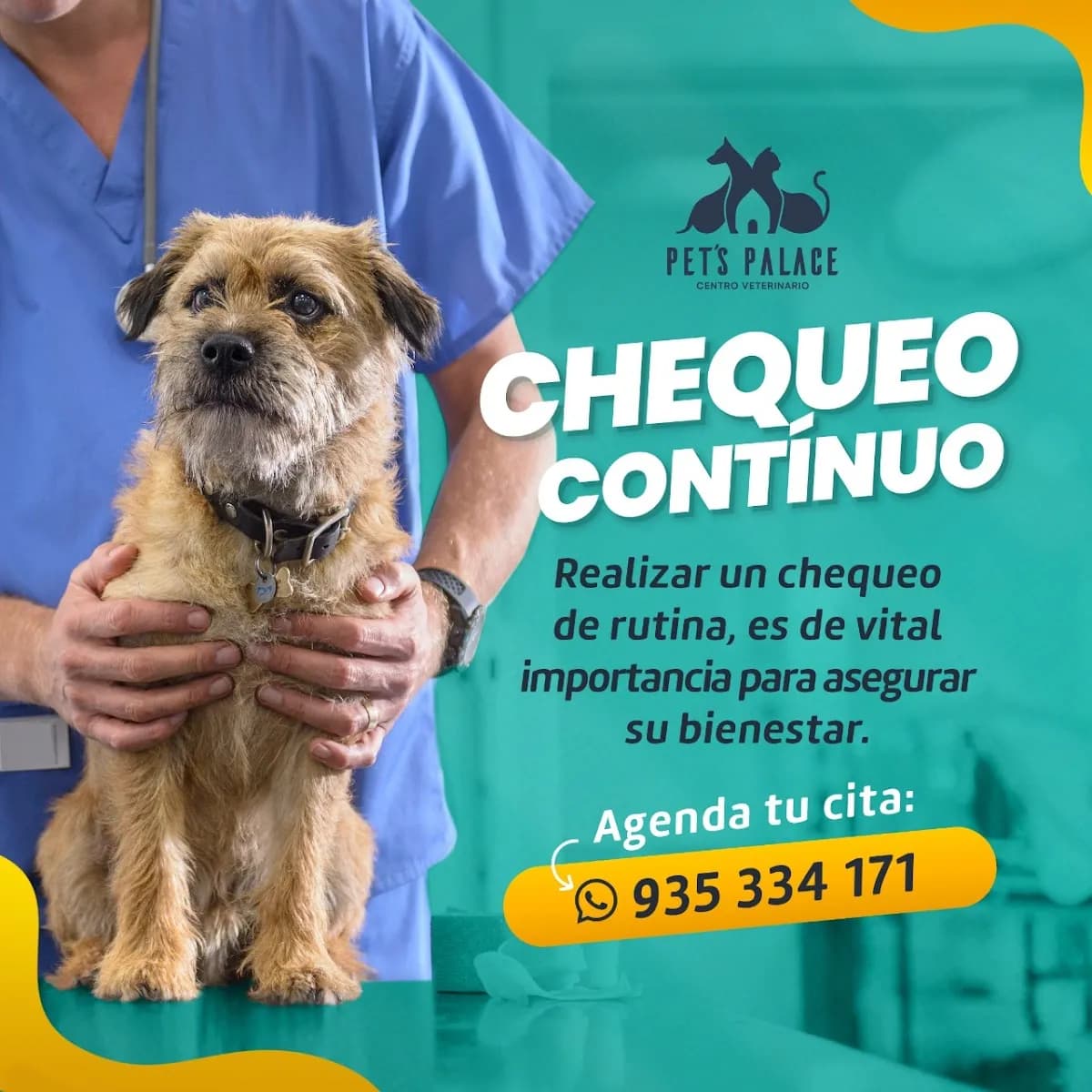 Centro Veterinario Pet´s Palace