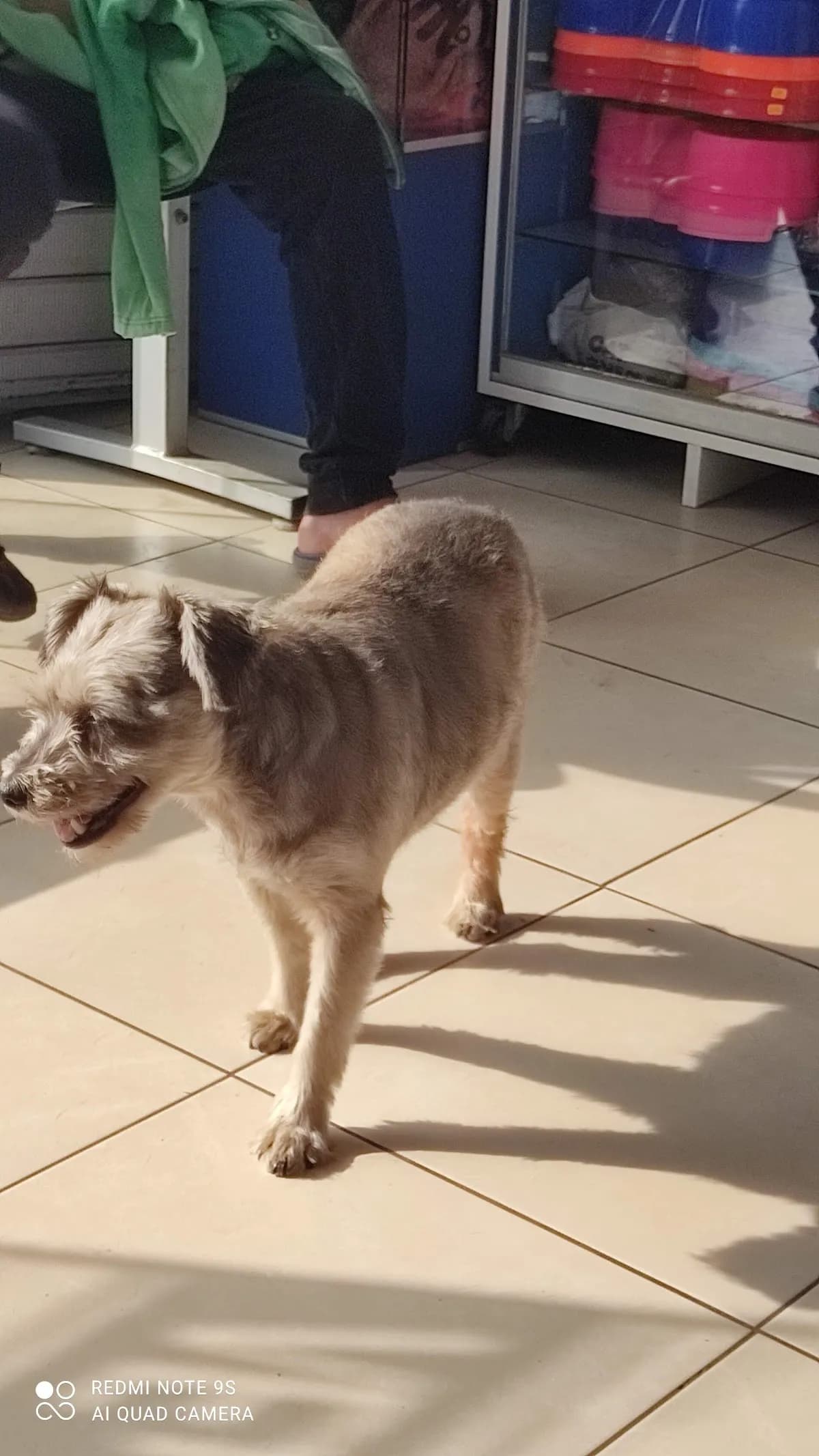Clínica Veterinaria Sava