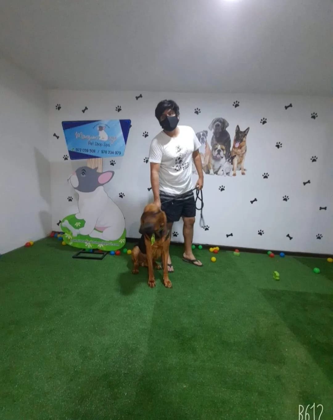 Mansión Dog Pet Shop Spa