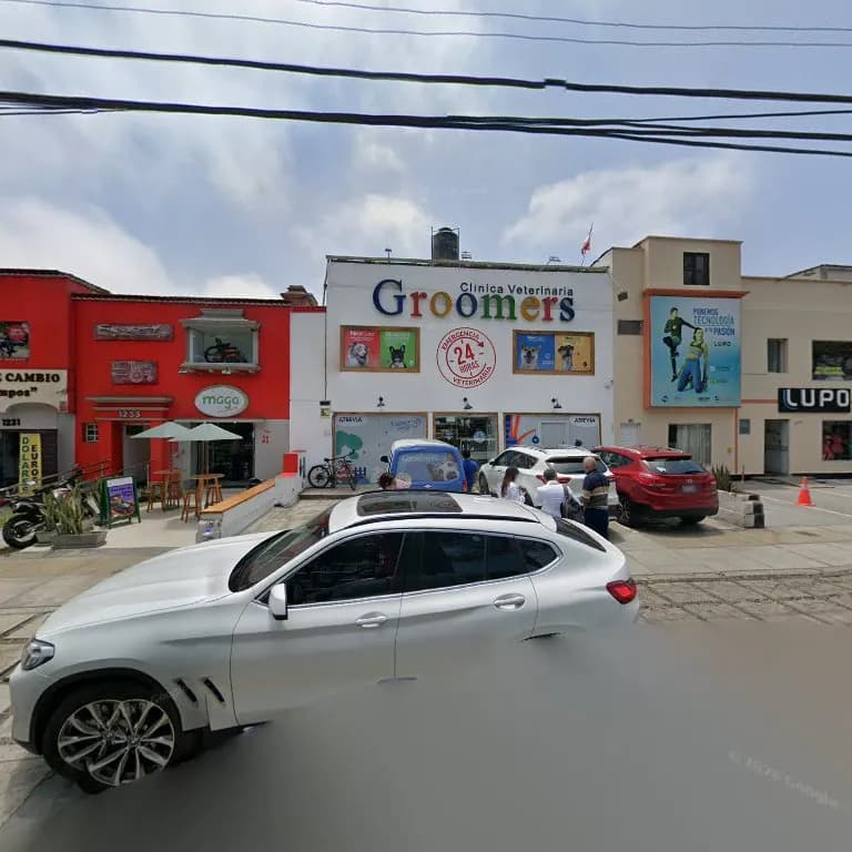 DermaVet - Miraflores Barranco - Dermatologia Veterinaria- Mv. Esp. Dra. Yanaisa Millares