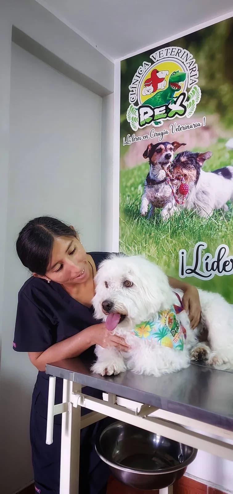 CLINICA VETERINARIA REX