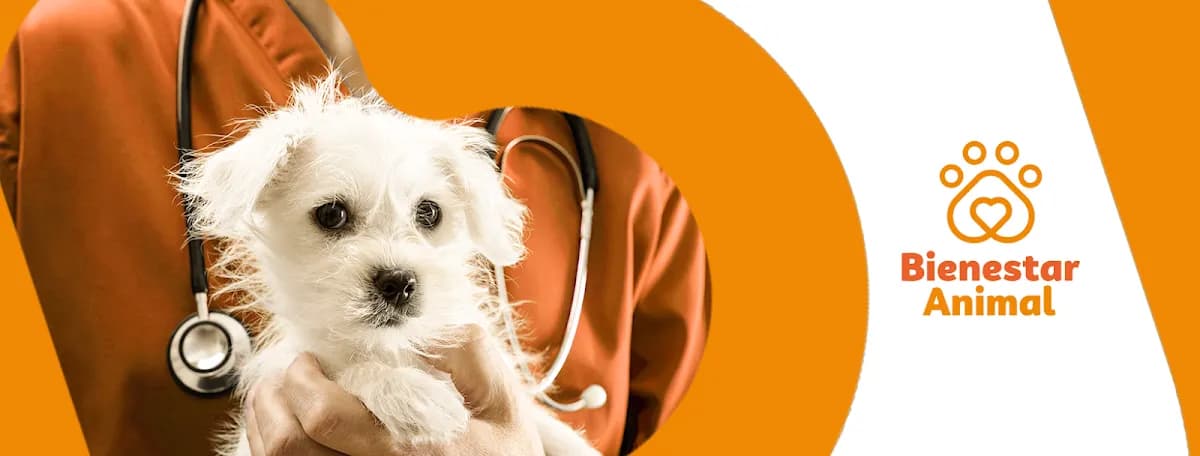 BIENESTAR ANIMAL CLINICA VETERINARIA
