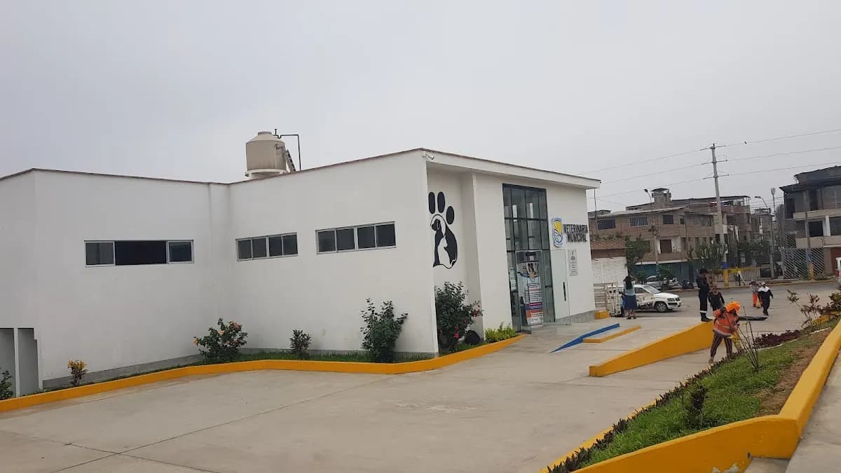 VETERINARIA MUNICIPAL - MUNIVET