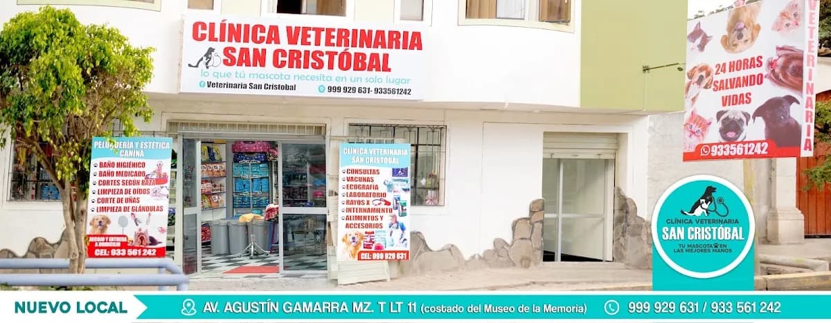 Clinica Veterinaria San Cristóbal