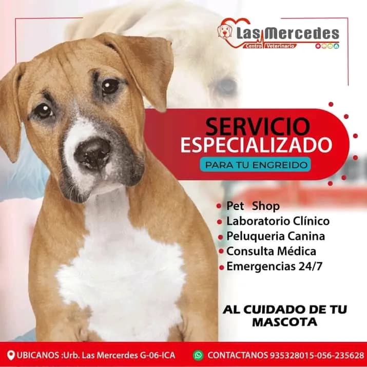Centro Veterinario Las Mercedes (Emergencias 24hrs)