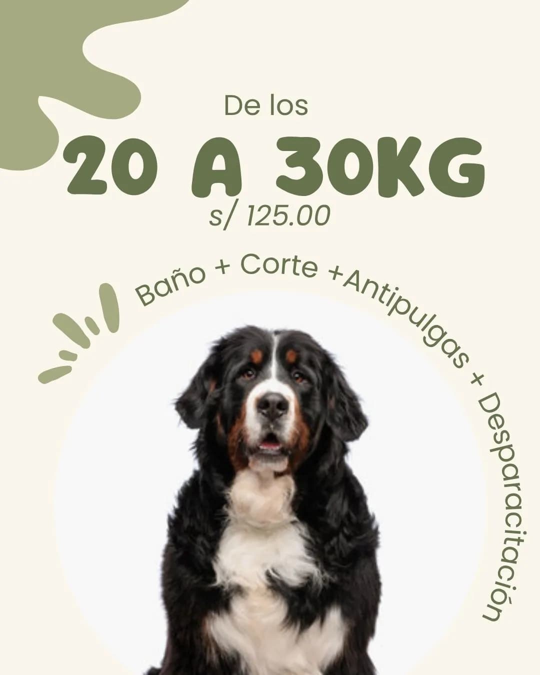 Clinica Veterinaria Panda Sede Mariategui