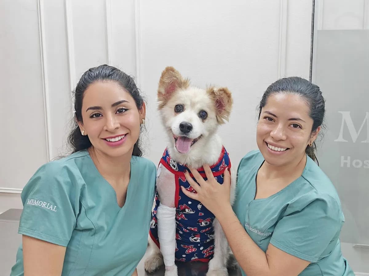Memorial Hospital Oncología Veterinaria