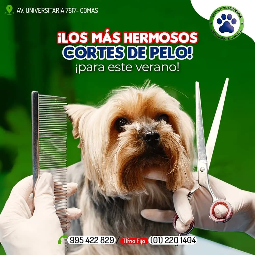 Veterinaria Portalino y Rondon