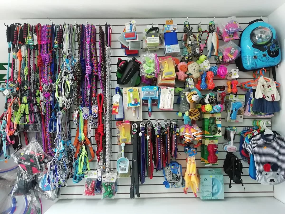 Veterinaria Gold Pets Chorrillos