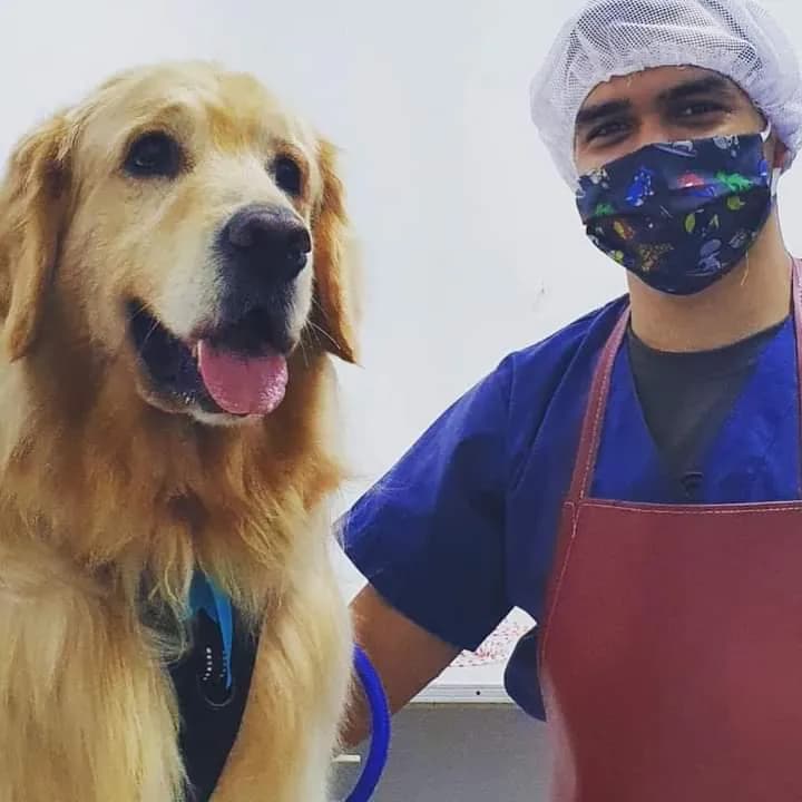 Terra Pets - Consultorio Veterinario