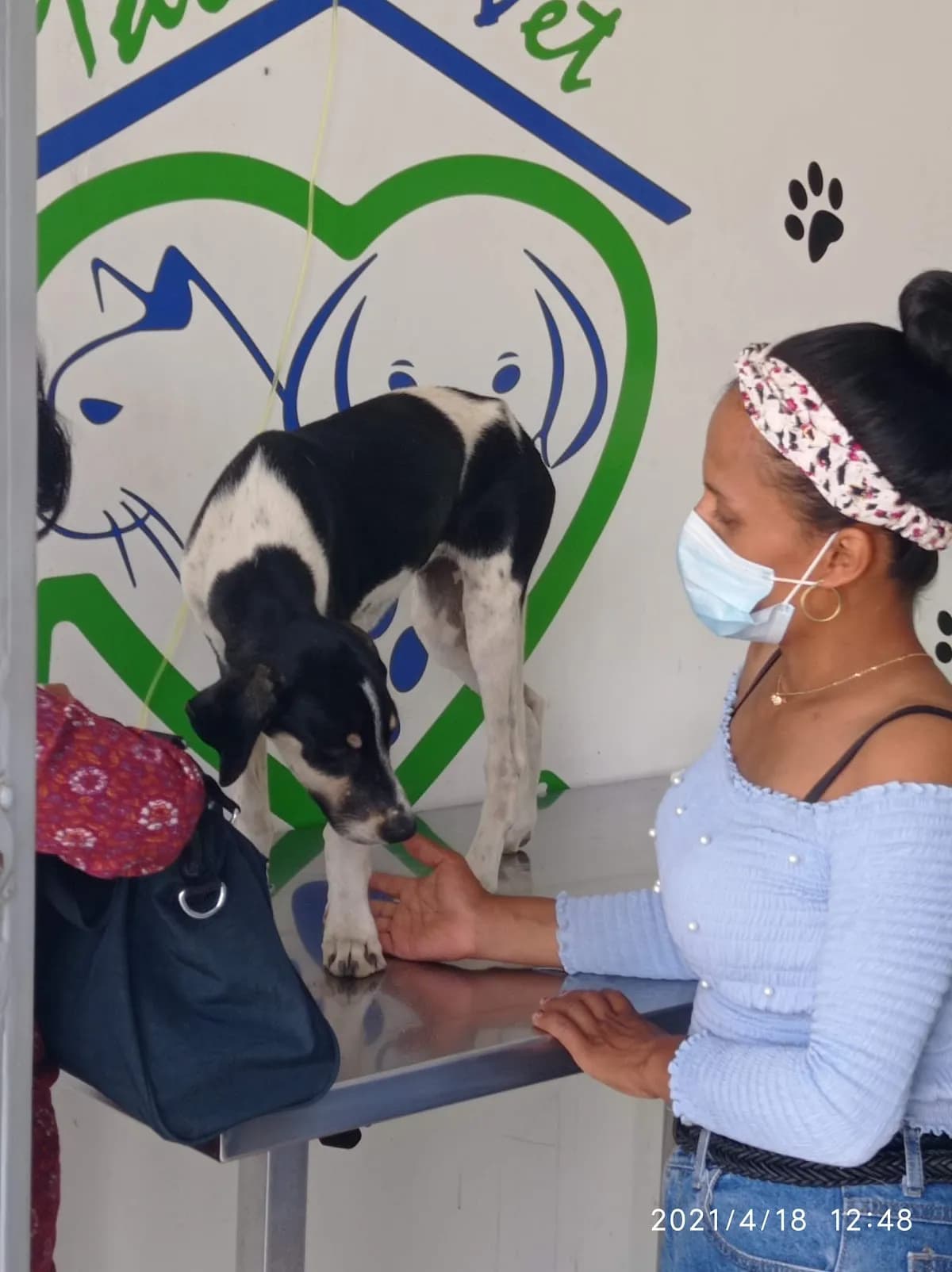 Clinica Veterinaria Mao Vet